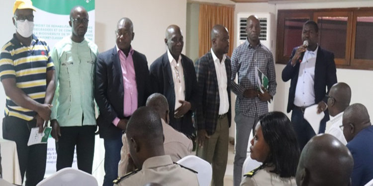 Côte d&rsquo;Ivoire : Lancement des activités de réhabilitation de la forêt classée du Haut Sassandra