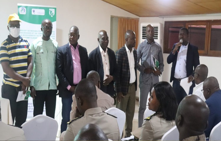 Côte d’Ivoire : Lancement des activités de réhabilitation de la forêt classée du Haut Sassandra