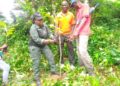 Alépé : Une journée de planting d’arbres initiée dans la zone de Dzeudji
