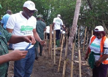 Côte d’Ivoire/ ’’Opération de restauration des mangroves’’ à Grand Bassam – le président du ROTARY Club Océan, OUATTARA Alhassan tire la sonnette d’alarme et interpelle gouvernants et populations