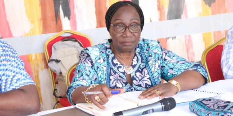 Mission d&rsquo;évaluation du PPA-CI : Attiegouakro, Abengourou, Bonon, Bingerville et Yakro font le point