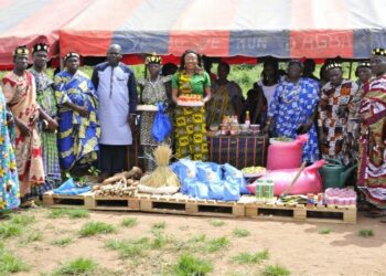 Diabo : L&rsquo;association Diabo Ville Émergente a procédé au lancement de la campagne agricole 2022-2023.