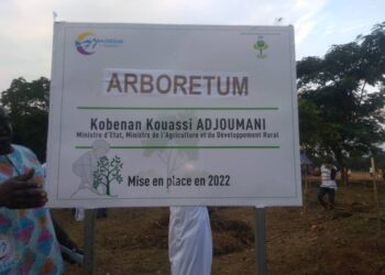 Transua/Lutte contre la désertification : un arboretum créé à Assuetia-Kessé