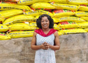 Diabo /ADERIZ appuie 162 producteurs de l&rsquo;association Diabo Ville Émergente