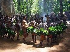 Cinéma/ Voici de quoi parle le film « Le silence de la forêt »