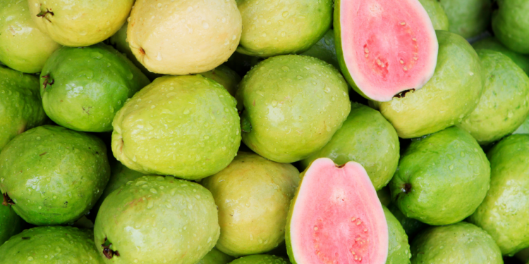 Les bienfaits nutritionnels de la goyave et ses multiples façons d’être consommée en Côte d’Ivoire