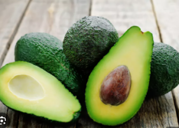 L&rsquo;avocat en Côte d&rsquo;Ivoire : une richesse nutritive à découvrir et à consommer