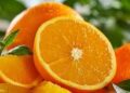 Les oranges en Côte d’Ivoire : une source vitale de nutriments pour une alimentation équilibrée