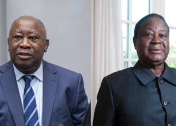 Côte d&rsquo;Ivoire: Renforcer la culture de l&rsquo;Opposition : La clé de la résilience et de la combativité démocratique