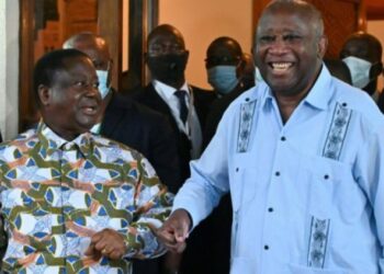 Régionales 2023/Voici les têtes de liste de l&rsquo;alliance PPA-CI-PDCI