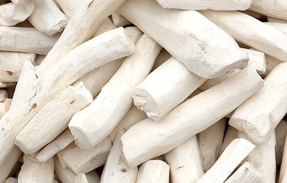 GGGGGGGGGGGGGGGGGGGGGGGGGGG