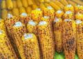 Côte d’Ivoire/Découvrez les multiples façons de consommer le maïs pour une alimentation saine et équilibrée