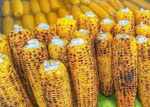 Côte d’Ivoire/Découvrez les multiples façons de consommer le maïs pour une alimentation saine et équilibrée
