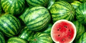 Côte d&rsquo;Ivoire/La pastèque : une délicieuse source de nutrition locale à incorporer dans votre alimentation