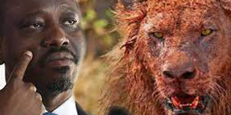 Côte d’Ivoire/Guillaume Soro ou la colère d’un lion blessé (Germain Séhoué)