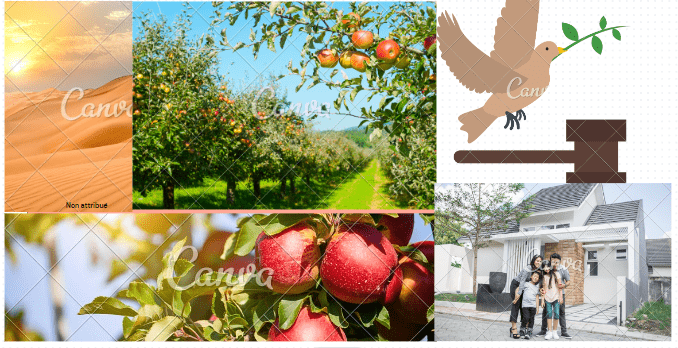 Dimanche de Dieu/Promesses de paix et justice de Dieu pour les chrétiens: Analyse d’Esaïe 32:15-18