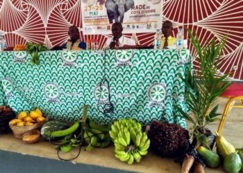 Agriculture /Un salon de l’agriculture made in Côte d’Ivoire prévu en Italie