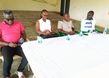 Alépé/ Rififi dans le village de Monga/Un pylône téléphonique planté dans la cour du chef : des habitants marquent leur désaccord