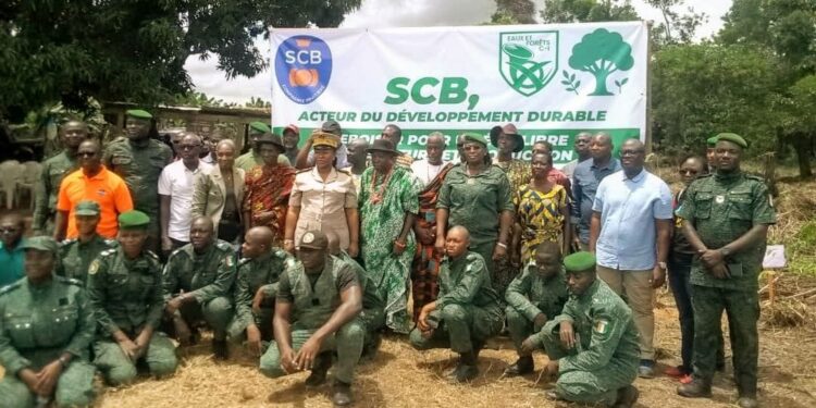 AKOUPÉ /Reconstitution du couvert forestier : La Scb et les eaux et forêts lancent une opération de reboisement