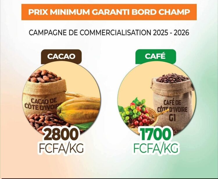 Hausse des prix du Café-cacao : générosité ou marchandage électoral ?