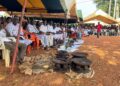 Kotobi /Coutumes et traditions : La fête de l’igname célébrée avec faste à Abongoua 