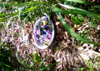 Côte d&rsquo;Ivoire/Ouragahio : le corps d&rsquo;une mineure découvert dans un champ de cacao