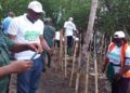 Côte d’Ivoire/ ’’Opération de restauration des mangroves’’ à Grand Bassam – le président du ROTARY Club Océan, OUATTARA Alhassan tire la sonnette d’alarme et interpelle gouvernants et populations