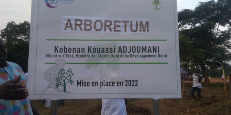 Transua/Lutte contre la désertification : un arboretum créé à Assuetia-Kessé