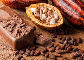 Côte d’Ivoire-AIP/ L’industrie de cacao et du chocolat invitée à oeuvrer à la reprise des achats (Régulateurs)