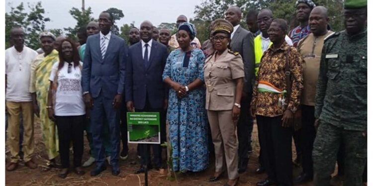 Côte d’Ivoire-/ Planting d’arbres sur un ancien site d’orpaillage clandestin à Kokumbo