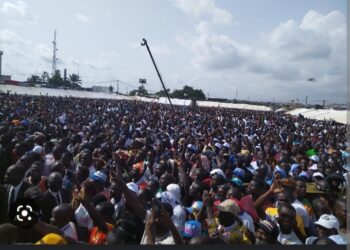 Élections régionales et municipales : voici la liste des candidats du PPA-CI