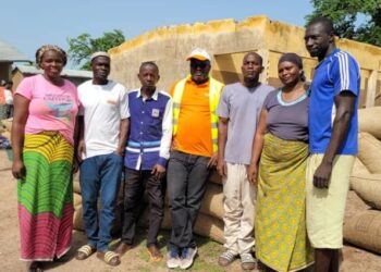 Région du Bounkani : Une opération de vente groupée de noix de cajou stimule les producteurs