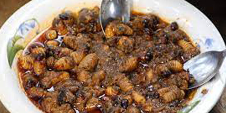 Côte d&rsquo;Ivoire /Les chrysalides : une source méconnue de nutriments essentiels