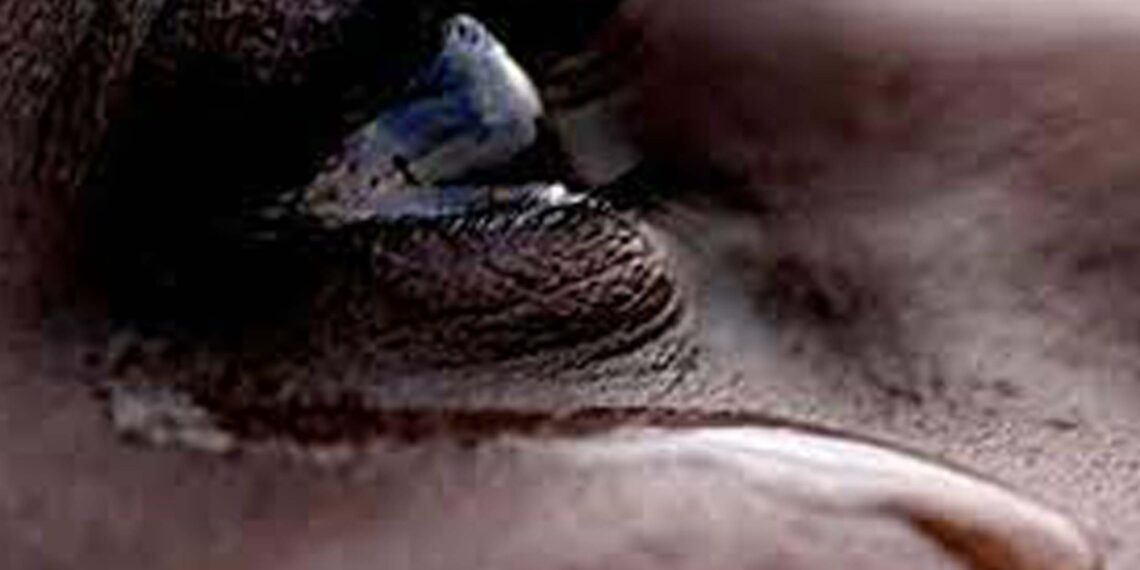 Côte d’Ivoire/L&rsquo;ingratitude : Un poison silencieux qui déchire les liens sociaux