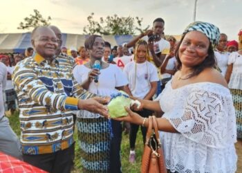 Complot dévoilé contre le ministre Hubert OULAYE