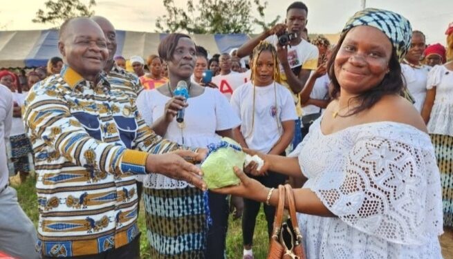 Complot dévoilé contre le ministre Hubert OULAYE