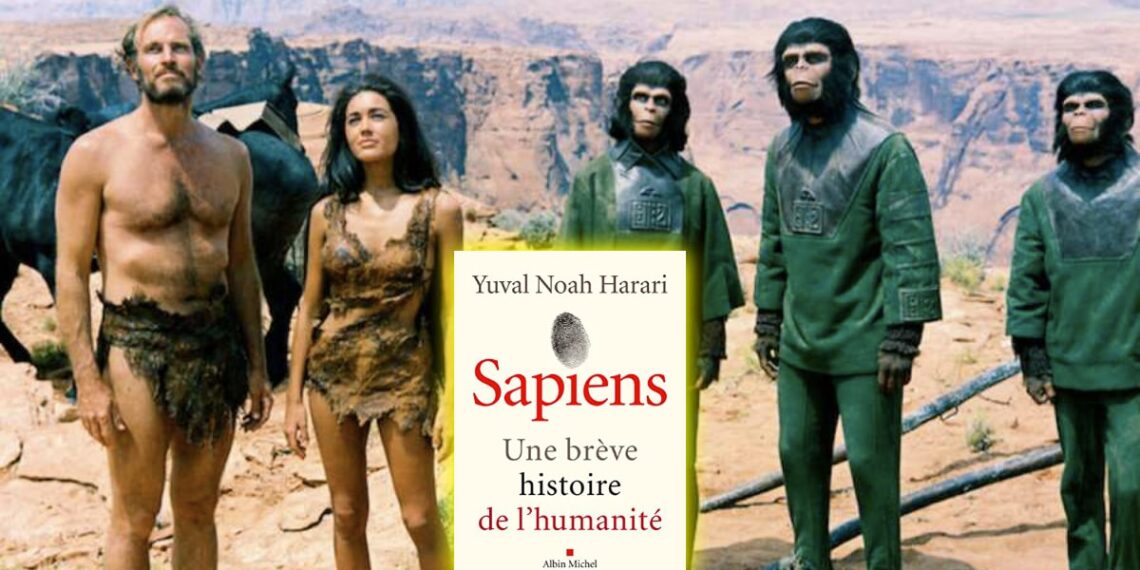 Livre/Sapiens: Une brève histoire de l&rsquo;humanité Un voyage fascinant à travers l&rsquo;évolution de l&rsquo;espèce humaine