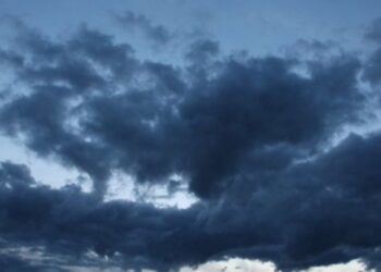 Roman / Quête d&rsquo;espoir : Vivre avec un handicap majeur