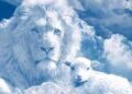 Dimanche de Dieu/Pourquoi Jésus est appelé « Lion de la Tribu de Juda » : Comprendre le symbolisme biblique et son impact sur la Foi chrétienne