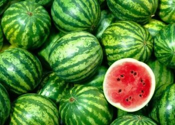 Côte d&rsquo;Ivoire/La pastèque : une délicieuse source de nutrition locale à incorporer dans votre alimentation