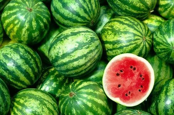 Côte d&rsquo;Ivoire/La pastèque : une délicieuse source de nutrition locale à incorporer dans votre alimentation