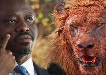 Côte d’Ivoire/Guillaume Soro ou la colère d’un lion blessé (Germain Séhoué)