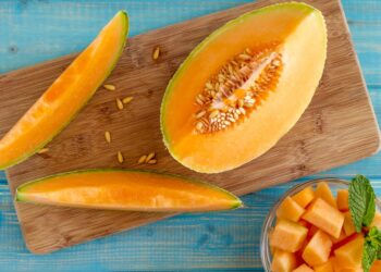 Côte d&rsquo;Ivoire/ Le Melon : Un trésor nutritif et économique à découvrir