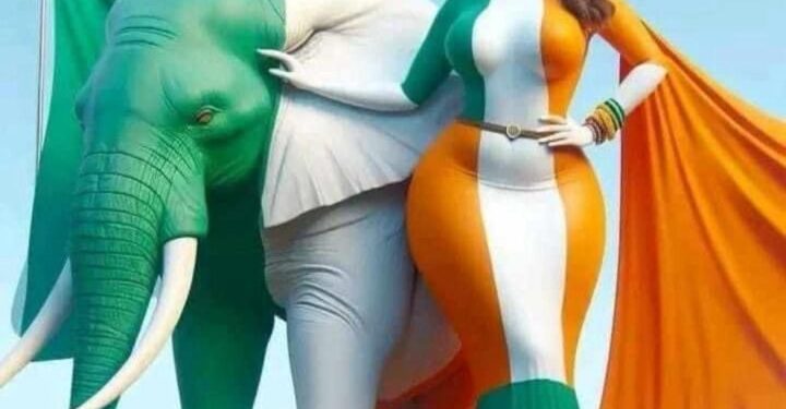 Côte d’Ivoire/Symphonie de Football: L’épopée sportive sous le ciel éburnéen