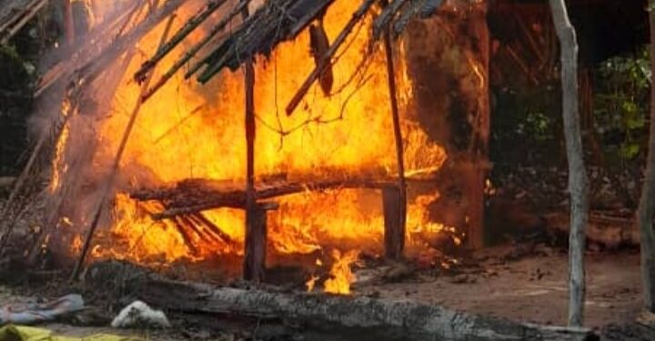 Alépé/Forêt classée de Tamin: Des abris des planteurs clandestins brûlés