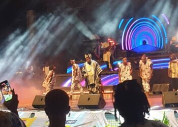 CONCERT : l&rsquo;artiste Perroquet de l&rsquo;Ouest a donné le meilleur de lui-même