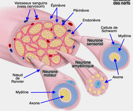 Côte d’Ivoire/Tumeurs nerveuses : Tout savoir sur l’opération