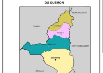 Côte d&rsquo;Ivoire : Guémon, attention aux apprentis politiciens hiboux