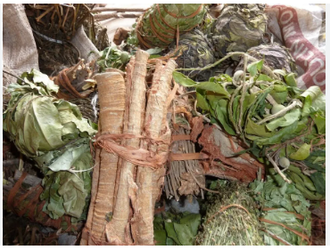 Colloque sur santé chez les Akan : culture et modernité au cœur des débats à Adiaké en  novembre 2024.