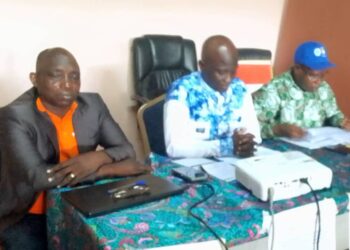 ALEPE/Santé maternelle et infantile: Le projet 2NIBA lancé.